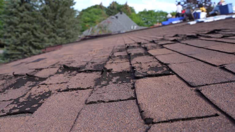 Best Gutter Installation and Repair  in Vandenberg Village, CA