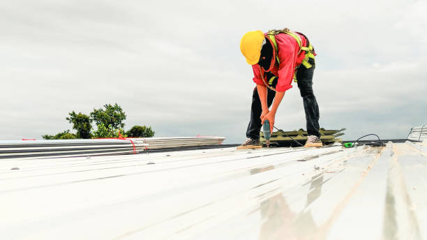 Best Solar Panel Roofing Installation  in Vandenberg Village, CA