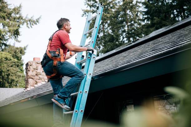 Best Roof Moss and Algae Removal  in Vandenberg Village, CA